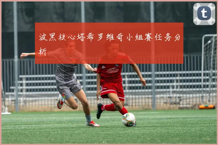 波黑核心塔希罗维奇小组赛任务分析