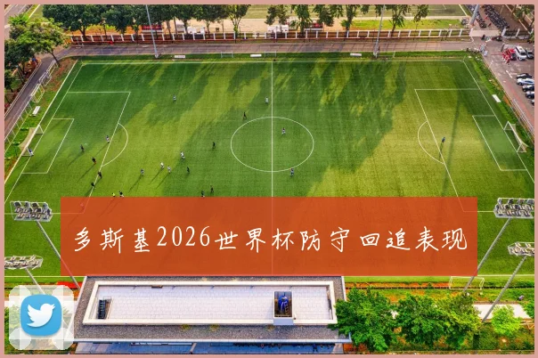 多斯基2026世界杯防守回追表现