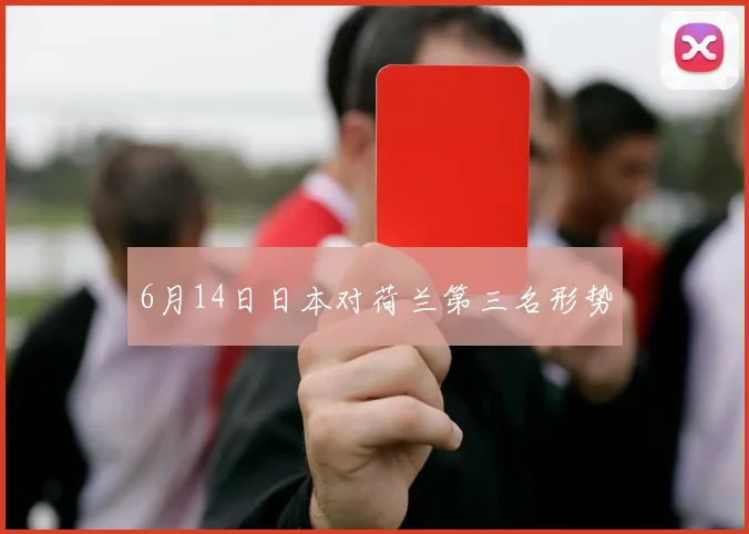 6月14日日本对荷兰第三名形势