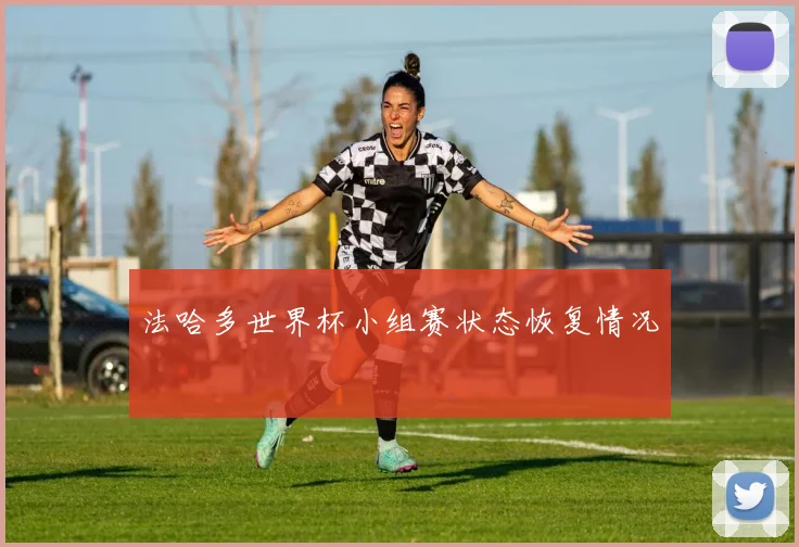 法哈多世界杯小组赛状态恢复情况