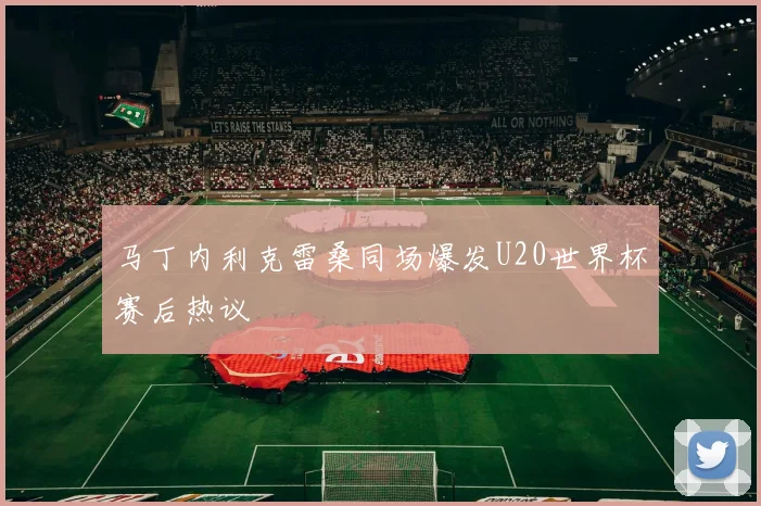 马丁内利克雷桑同场爆发U20世界杯赛后热议