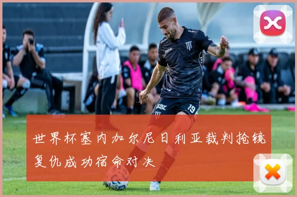世界杯塞内加尔尼日利亚裁判抢镜复仇成功宿命对决
