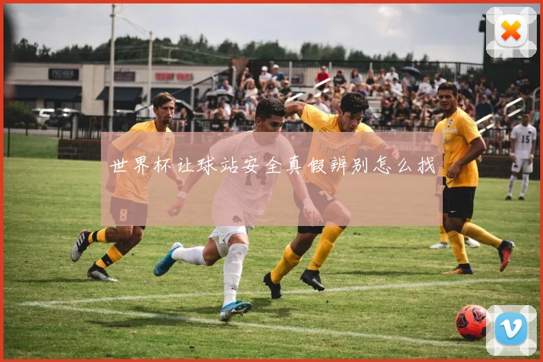 世界杯让球站安全真假辨别怎么找