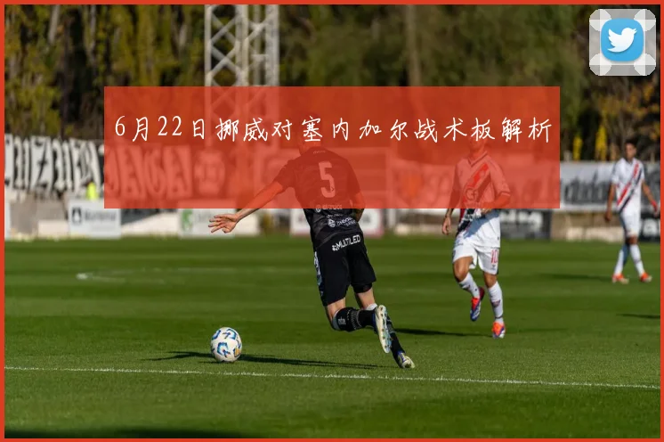 6月22日挪威对塞内加尔战术板解析