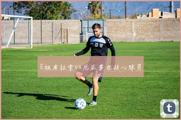 E组库拉索vs厄瓜多尔核心球员