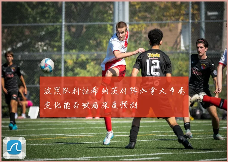 波黑队科拉希纳茨对阵加拿大节奏变化能否破局深度预测
